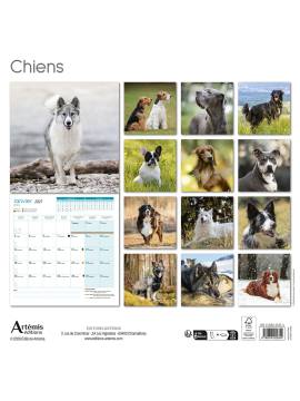 CALENDRIER CHIENS 2027