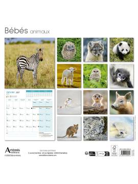 CALENDRIER BEBES ANIMAUX 2027