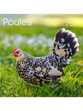 CALENDRIER POULES 2027