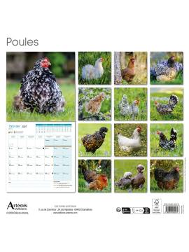 CALENDRIER POULES 2027
