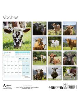 CALENDRIER VACHES 2027