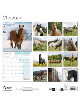 CALENDRIER CHEVAUX 2027