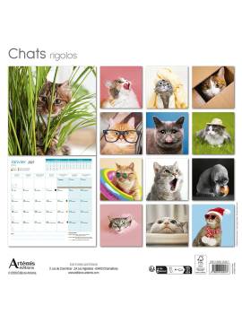 CALENDRIER CHATS RIGOLOS 2027