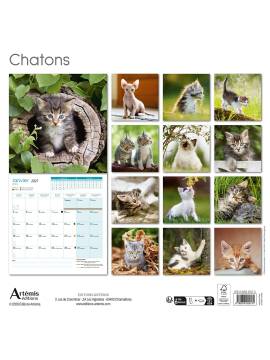 CALENDRIER CHATONS 2027