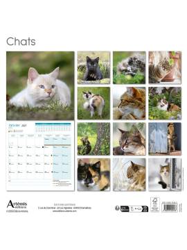 CALENDRIER CHATS 2027
