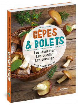 CEPES & BOLETS