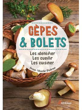 CEPES & BOLETS