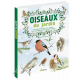 OISEAUX DU JARDIN