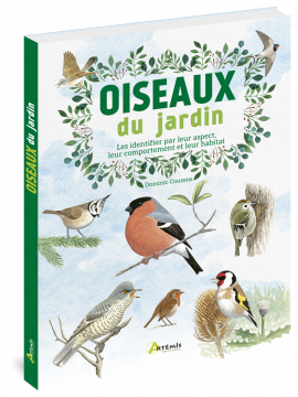 OISEAUX DU JARDIN