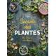 SECRETS DES PLANTES POUR SE SOIGNER NATURELLEMENT