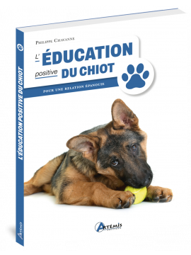 L'EDUCATION POSITIVE DU CHIOT POUR UNE RELATION EPANOUIE