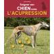 SOIGNER SON CHIEN AVEC L'ACUPRESSION