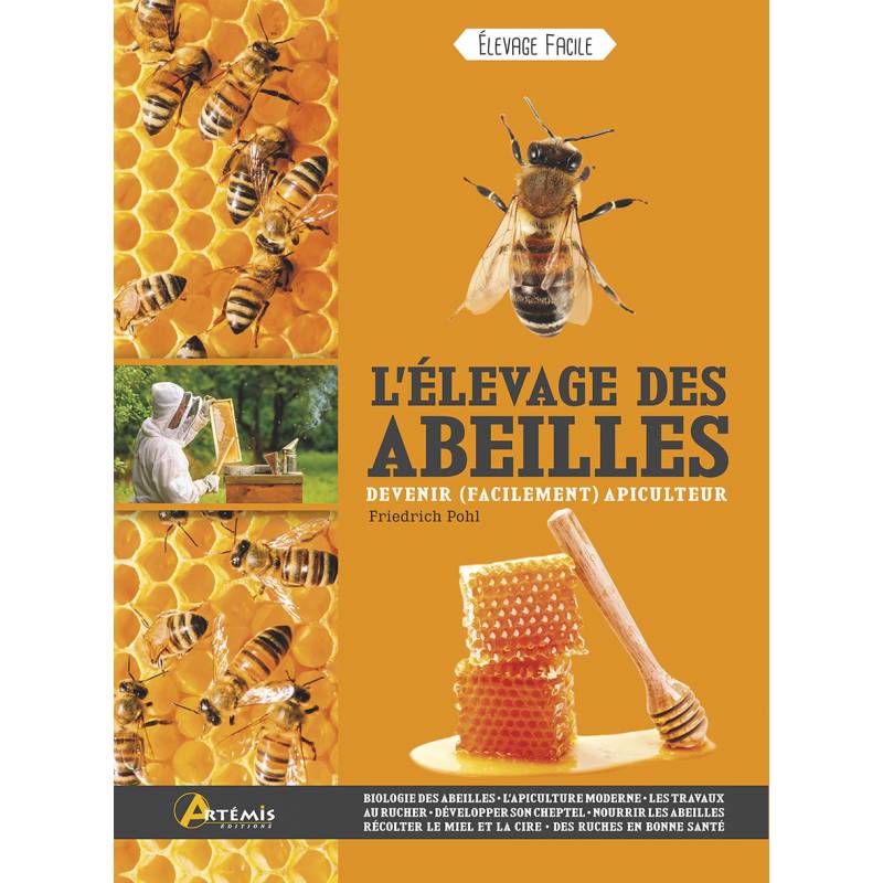 Apiculture : l'organisation des abeilles dans la ruche - Truffaut