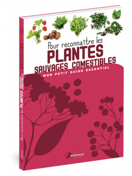 POUR RECONNAITRE LES PLANTES SAUVAGES COMESTIBLES