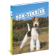 FOX TERRIER