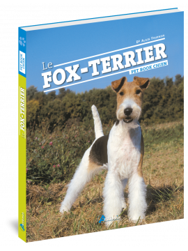 FOX TERRIER