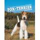 FOX TERRIER