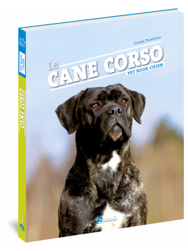 CANE CORSO