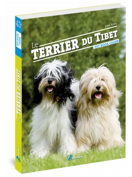 TERRIER DU TIBET