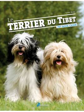 TERRIER DU TIBET