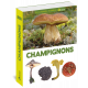 ENCYCLOPEDIE  VISUELLE DES CHAMPIGNONS