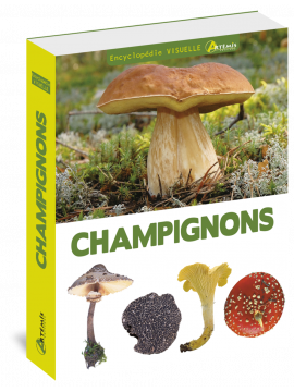 ENCYCLOPEDIE  VISUELLE DES CHAMPIGNONS