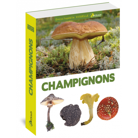 ENCYCLOPEDIE  VISUELLE DES CHAMPIGNONS