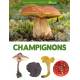 ENCYCLOPEDIE  VISUELLE DES CHAMPIGNONS