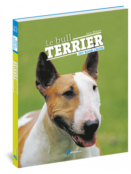 BULL TERRIER