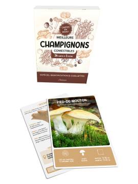 COFFRET MEILLEURS CHAMPIGNONS COMESTIBLES - 36 CARTES + 1 POSTER