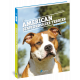 AMERICAN STAFFORDSHIRE TERRIER