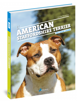 AMERICAN STAFFORDSHIRE TERRIER