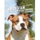 AMERICAN STAFFORDSHIRE TERRIER