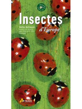 INSECTES D EUROPE