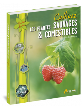 CULTIVEZ LES PLANTES SAUVAGES ET COMESTIBLES