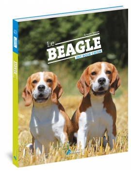 LE BEAGLE