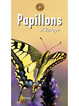 PAPILLONS D EUROPE