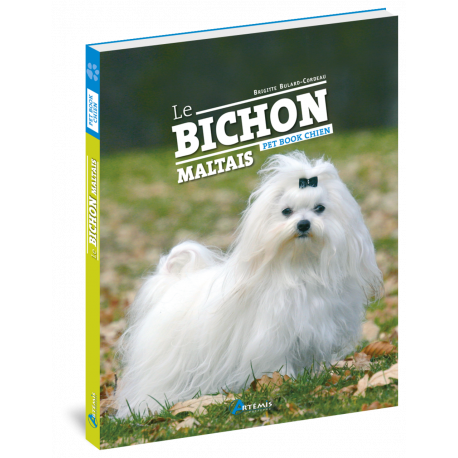 BICHON MALTAIS