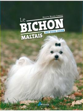 BICHON MALTAIS