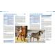 RACES DE CHIENS ENCYCLOPEDIE VISUELLE