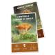 COFFRET MEILLEURS CHAMPIGNONS COMESTIBLES - 36 CARTES + 1 POSTER