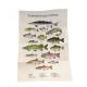 COFFRET PÊCHE EN EAU DOUCE 36 CARTES + 1 POSTER