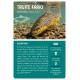 COFFRET PÊCHE EN EAU DOUCE 36 CARTES + 1 POSTER
