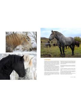 EPERDUMENT CHEVAUX