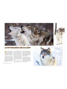 EPERDUMENT LOUPS