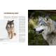 EPERDUMENT LOUPS