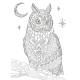 FORET ENCHANTEE