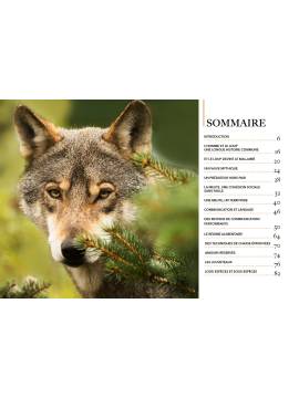 LE LOUP