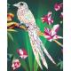 JUNGLE FLUO - STICKERS MOSAIQUE