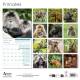 CALENDRIER PRIMATES 2027